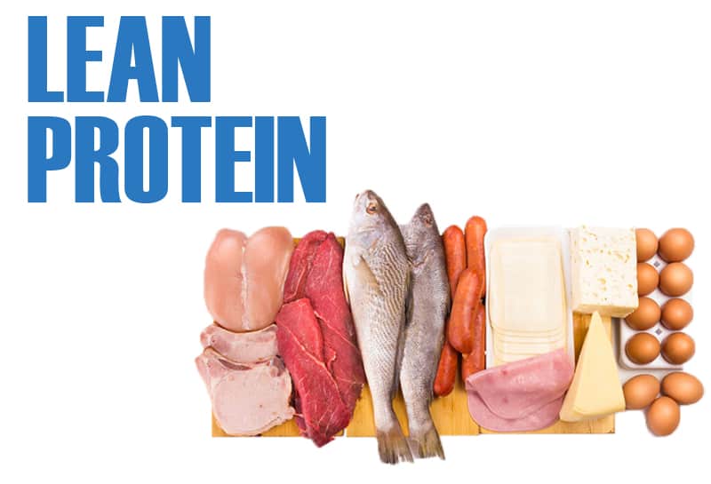 Lean proteine